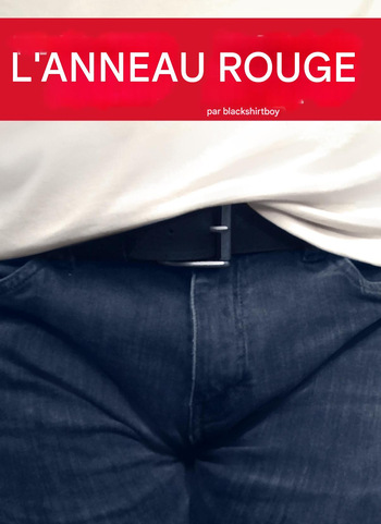 The Red Ring 1-4 French cover