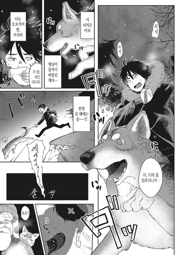 [Siooninco] Dog Girl Wolf Boy | 도그 걸 울프 보이 (COMIC X-EROS #83) [Decensored] [Korean] [Digital] cover