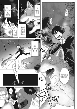 Dog Girl Wolf Boy | 도그 걸 울프 보이