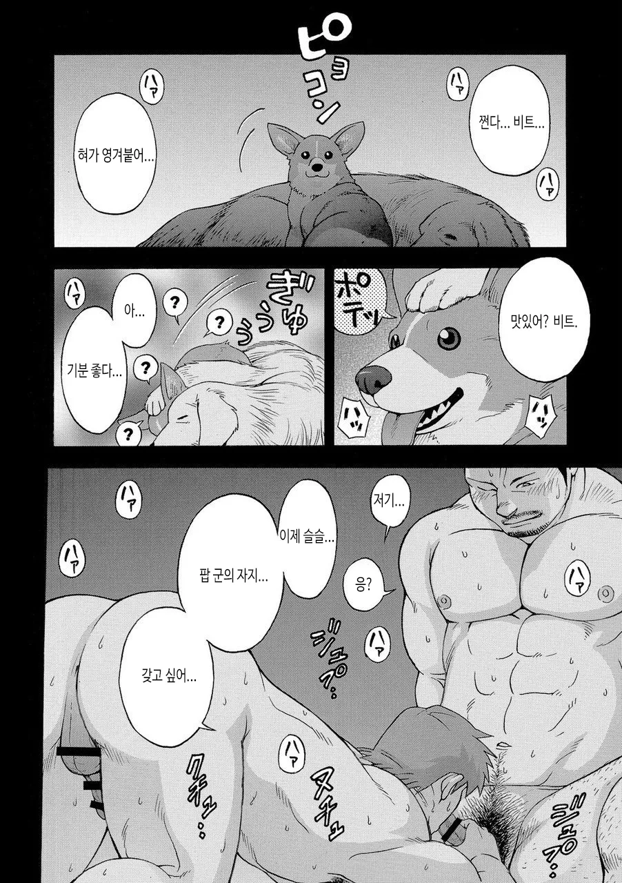 SWEET☆KENNEL page 12 full
