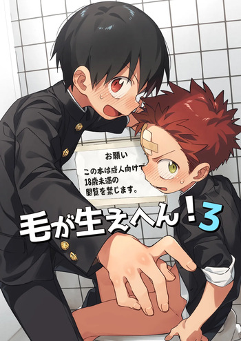 [Keito no Mori (wool)] Ke ga Haehen! 3 [English] {Chin²} [Digital] cover
