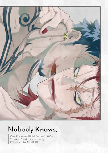 [MERIEIDO (Mizumoto)] Nobody Knows, (One Piece) [Digital] cover