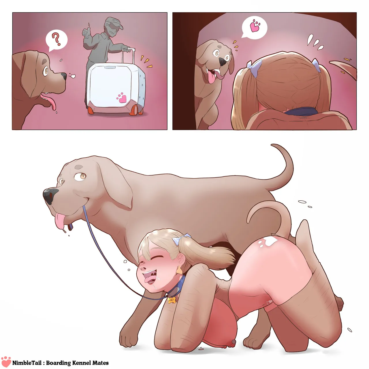 nimbletail Boarding Kennel Mates page 3 full