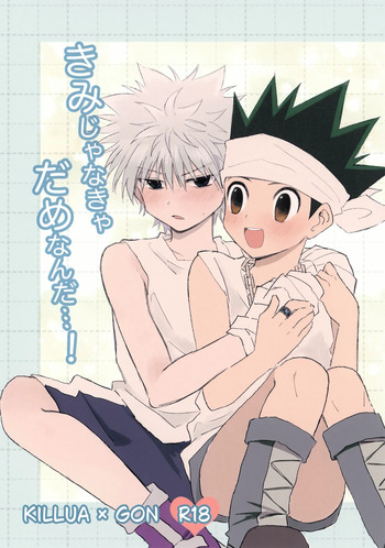 (Re:HUNTER 11) [Koiing (f)] Kimi ja Nakya Dame Nanda…! (Hunter x Hunter) cover