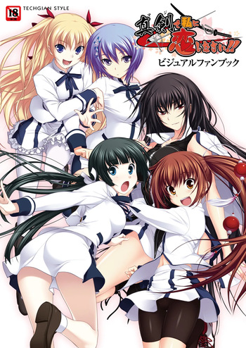 Maji de Watashi ni Koi Shinasai Visual Fan Book [Digital] cover
