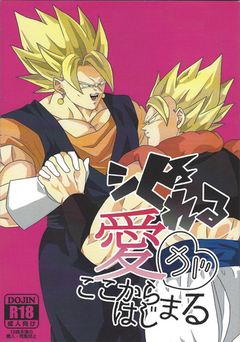 [Amepankandzume (Dendekoden)] Shibireru ai ga koko kara hajimaru (Dragon Ball Z) cover