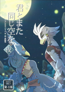 Kimi to mata onaji sora o yoru