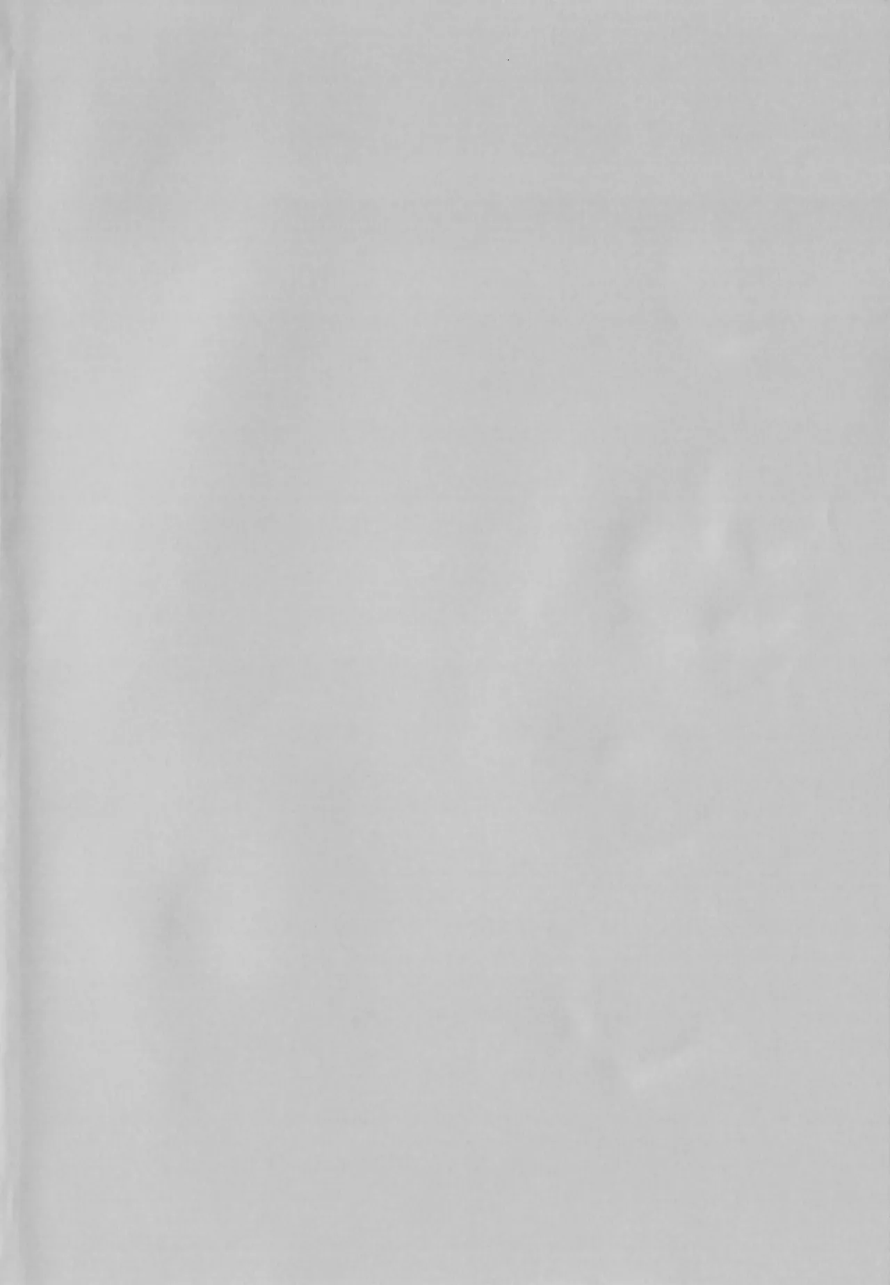 The Sassy Little Fox and Wolf-kun page 3 full