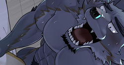 Common wolf - Prejudice