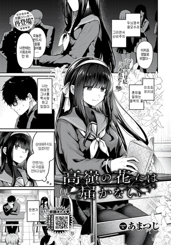 [Amatsuji] Takane no Hana ni wa Todokanai - She's too perfect-way out my league. (COMIC BAVEL 2025-10) [Korean] [팀 털난보리] [Digital] cover