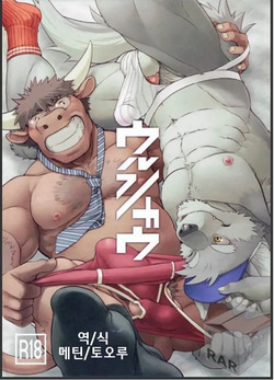 Wolf / Cow | 울프 / 카우