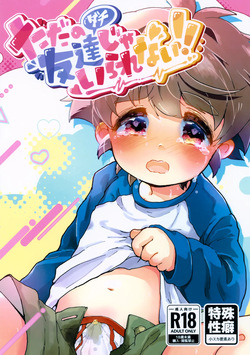 Tada no Tomodachi ja Irarenai!!