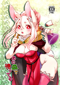 Ano Mori de matteiru|Esperandote en ese bosque