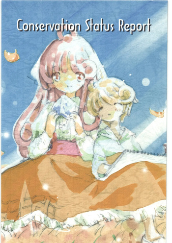 [飛行海賊] Conversation Status Report cover