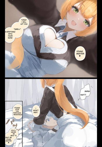 [Tsuchiro] Maid Series Collection [English][LywaiUser] cover