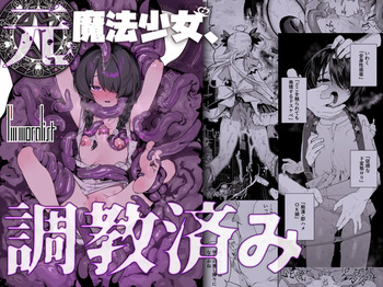 [I'm moralist (Nikubou Maranoshin)] Moto Mahou Shoujo, Choukyouzumi cover