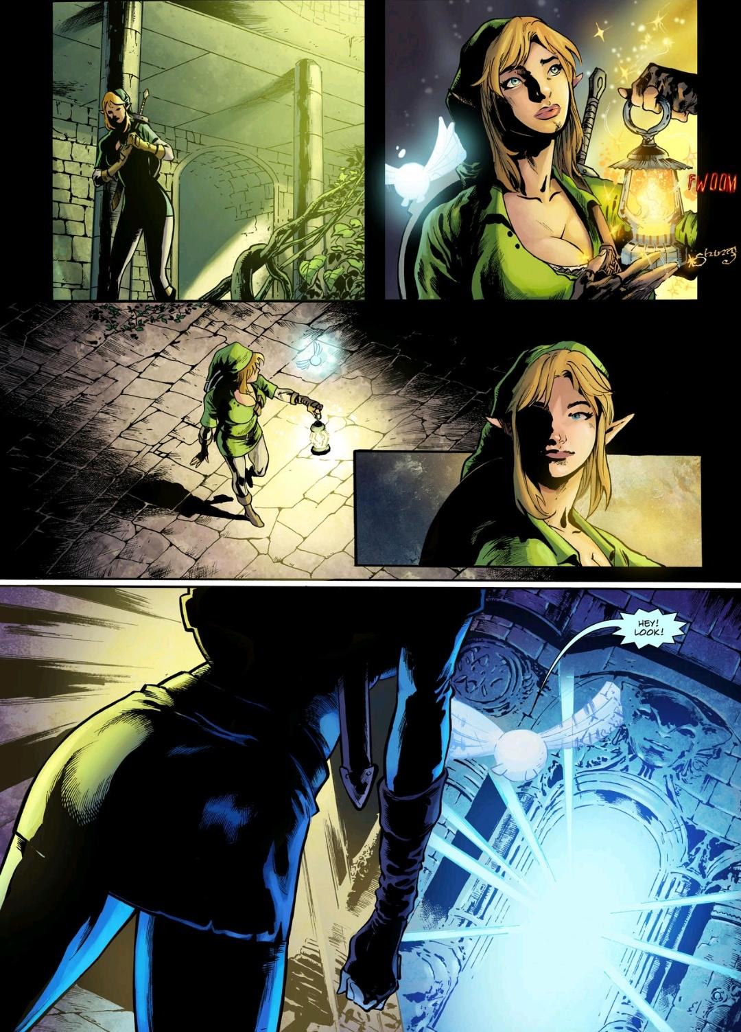 Hyrule's Hero by Sampleguy page 12 full