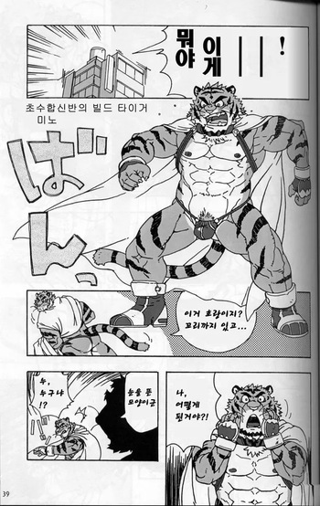 [Dragon Heart (gamma)] Choujuu Gasshin Build Tiger 0 | 초수합신 빌드 타이거 0 [Korean] cover