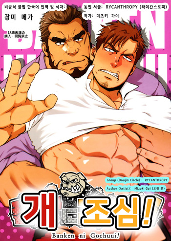(C96) [RYCANTHROPY (Mizuki Gai)] Banken ni Gochuui! | 개조심! [Korean] [장미 메가] cover