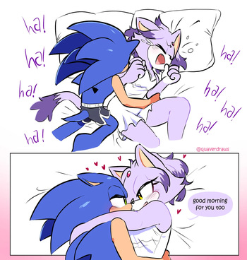 [QuaverDraws (QuaverNSFW)] Sonaze (Sonic x Blaze) cover