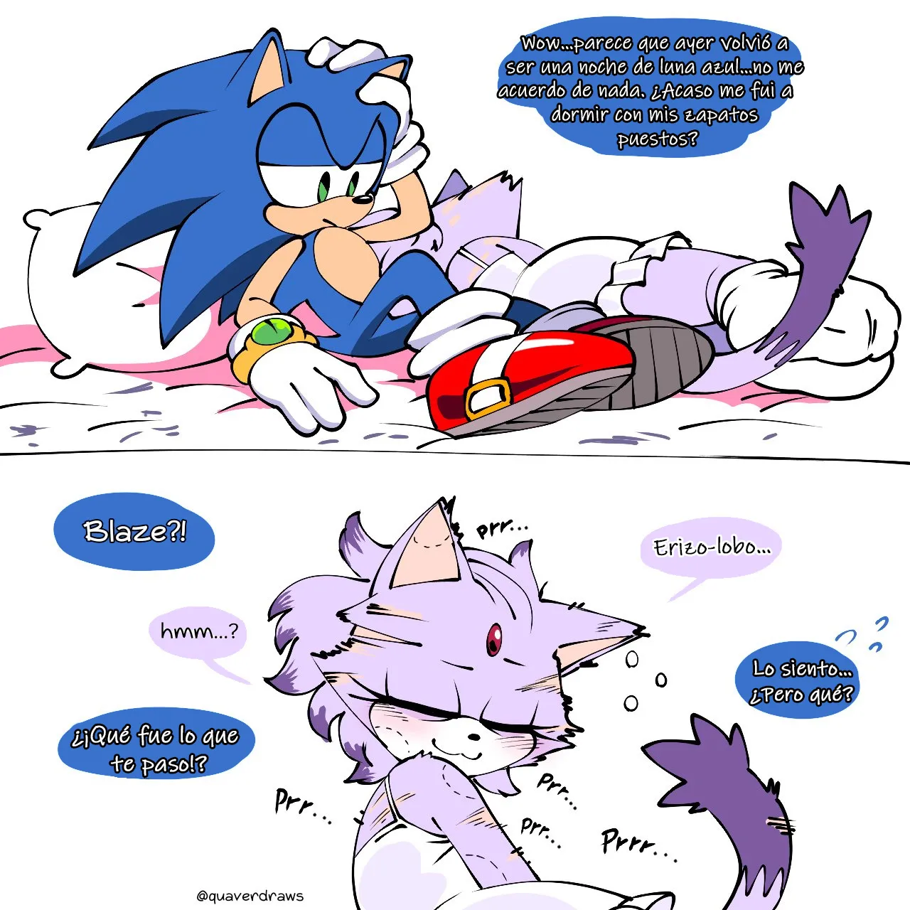 El Erizo-Lobo page 10 full