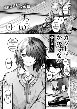 Cut wa Kakaranai | 컷은 적용되지 않는다