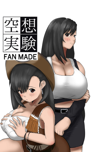 [ちーまろん] 空想実験ファンメイド 〜追憶のティファ編〜 (ファイナルファンタジー7) cover