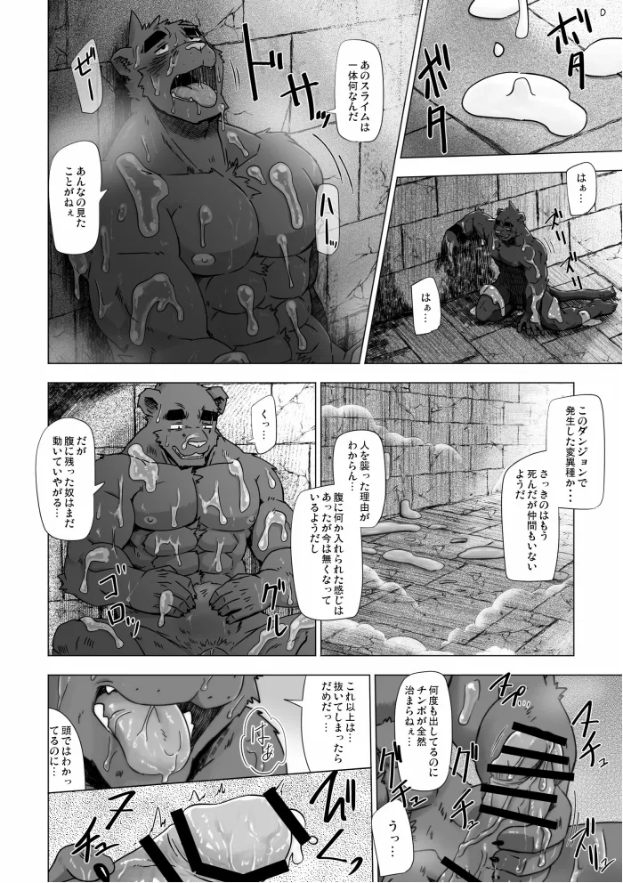 SOLOEXPLORER page 12 full