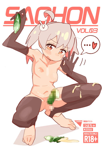 [Fujinum Seven] SAOHON 3 cover