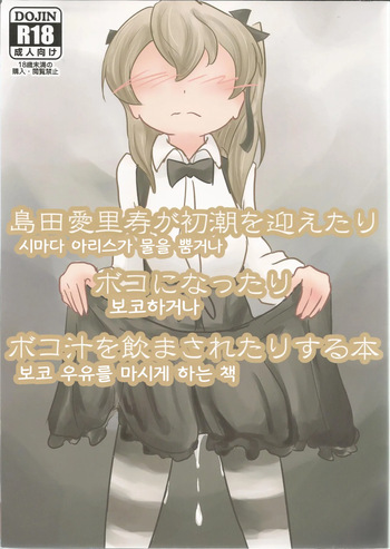 (C92) [Himalaya Kaikou (Namakurage)] Shimada Arisu ga Shochou o Mukaetari Boko ni Nattari Boko-jiru o Nomasaretari Suru Hon | 시마다 아리스가 물을 뿜거나 보코 하거나 보코 우유를 마시게 하는 책 (Girls und Panzer) [Korean] cover