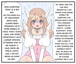 Sun’s elephant pregnancy journey