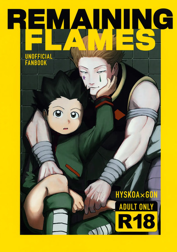 (Re:HUNTER 11) [COMPOTE (Himisuya)] REMAINING FLAMES (Hunter x Hunter) cover