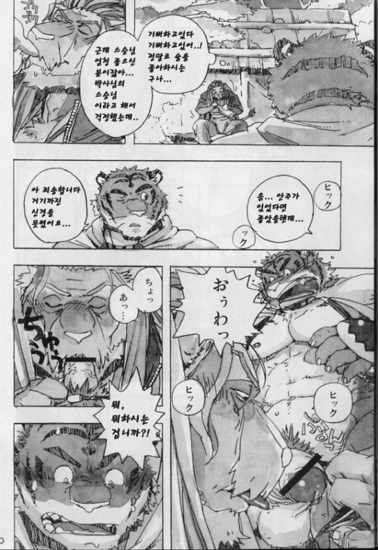 Choujuu Gasshin Build Tiger 3 | 초수합신 빌드 타이거 3 page 12 full