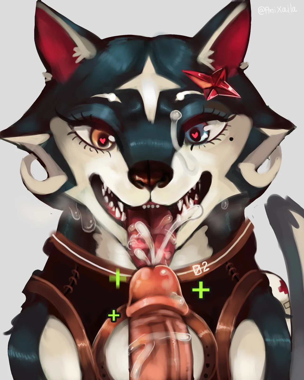 anixaila page 11 full