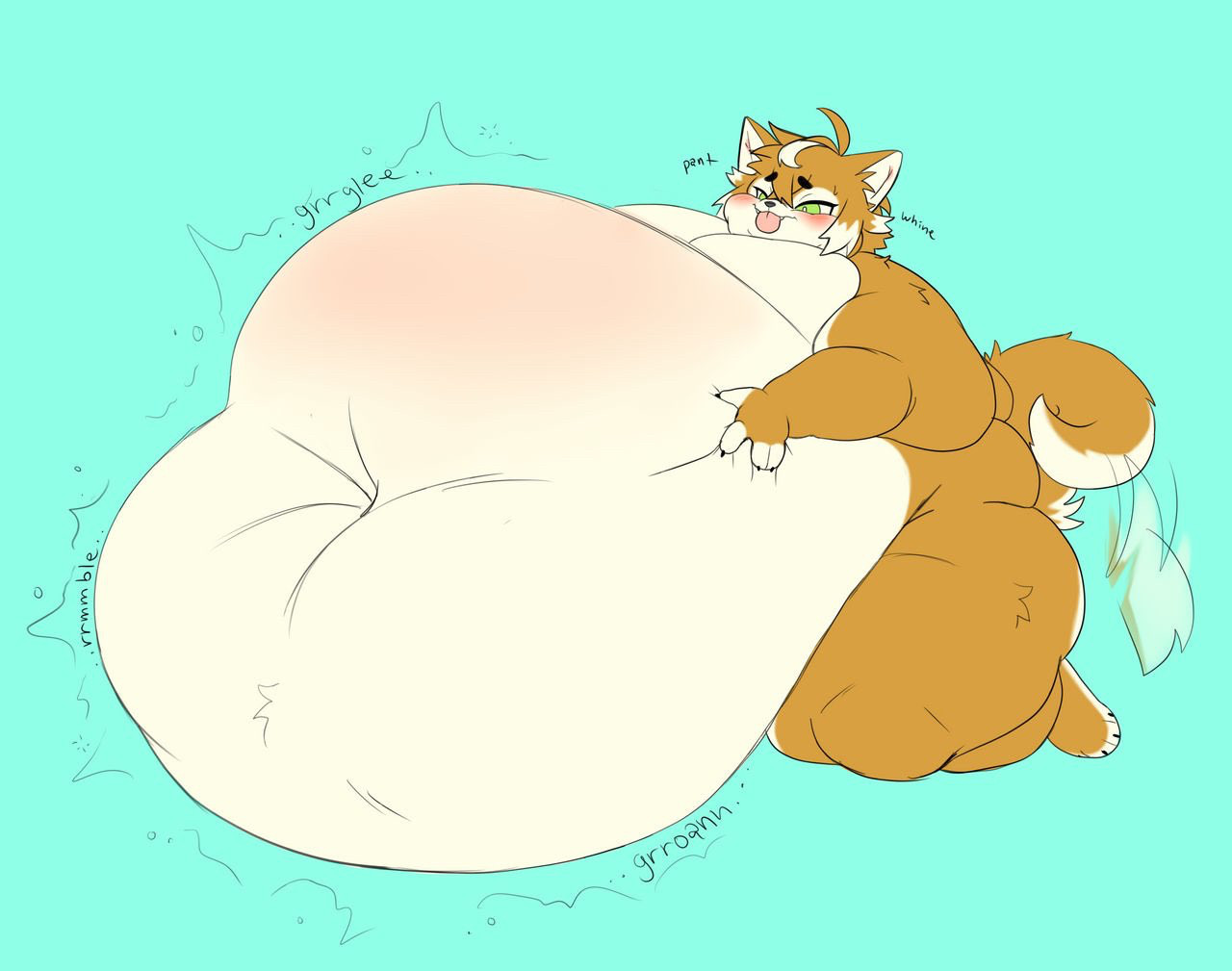 Super Sized Shibe Collection page 3 full