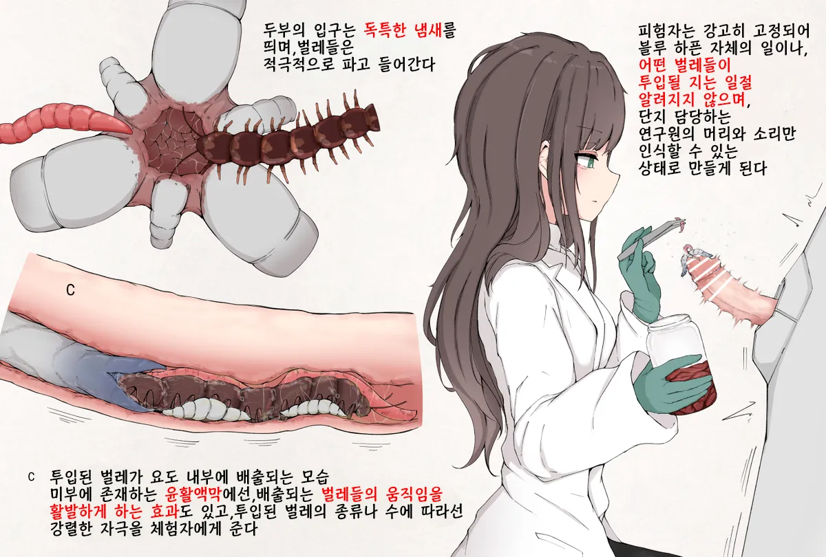 Insect Research Report No.029 page 3 full