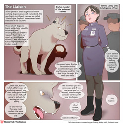 nimbletail The Liaison