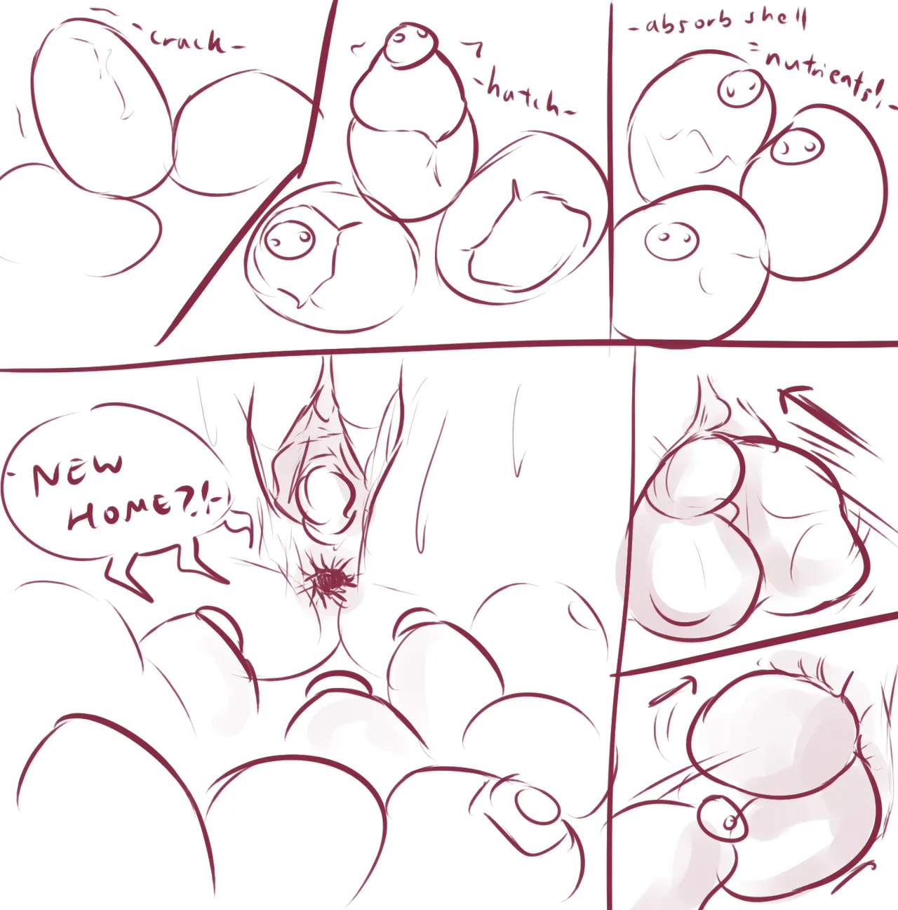 BugEggs page 11 full