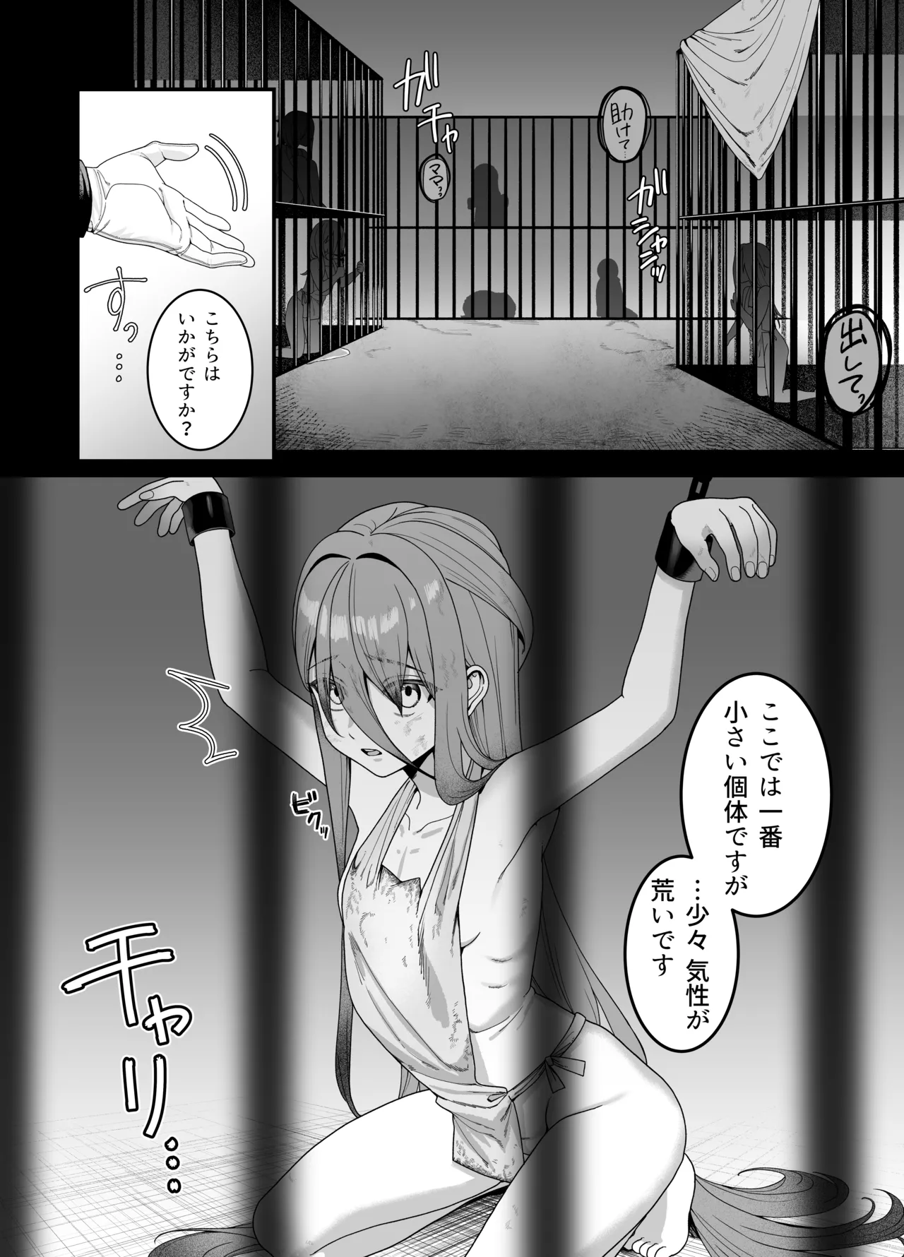 Dorei ga petto ni sodatsu made page 1 full