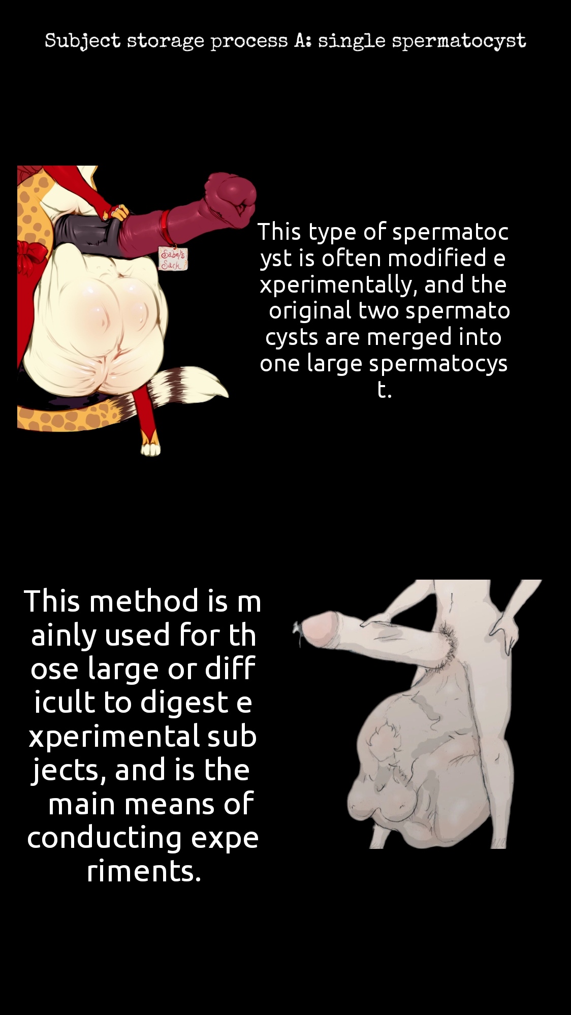 Cock Vore Biological Experiment Report page 2 full