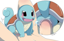 wartortle