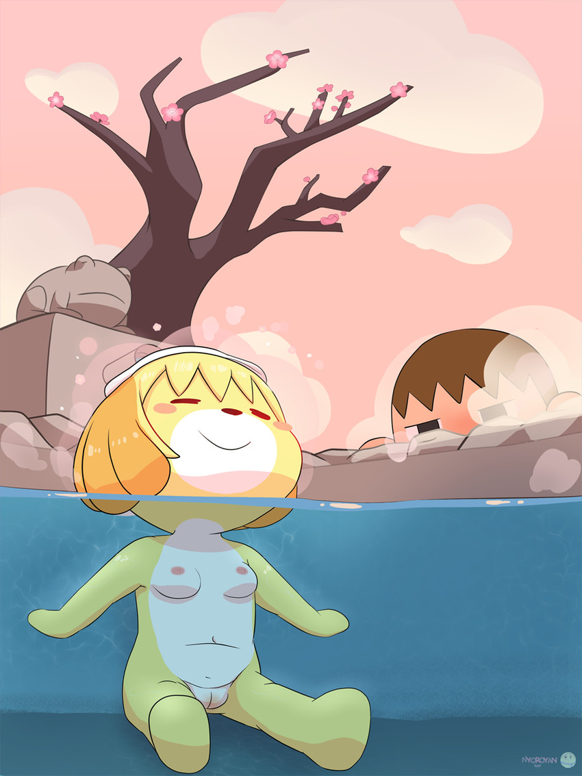 Animal Crossing New Horizons - The Thermal Baths of Isabelle page 2 full