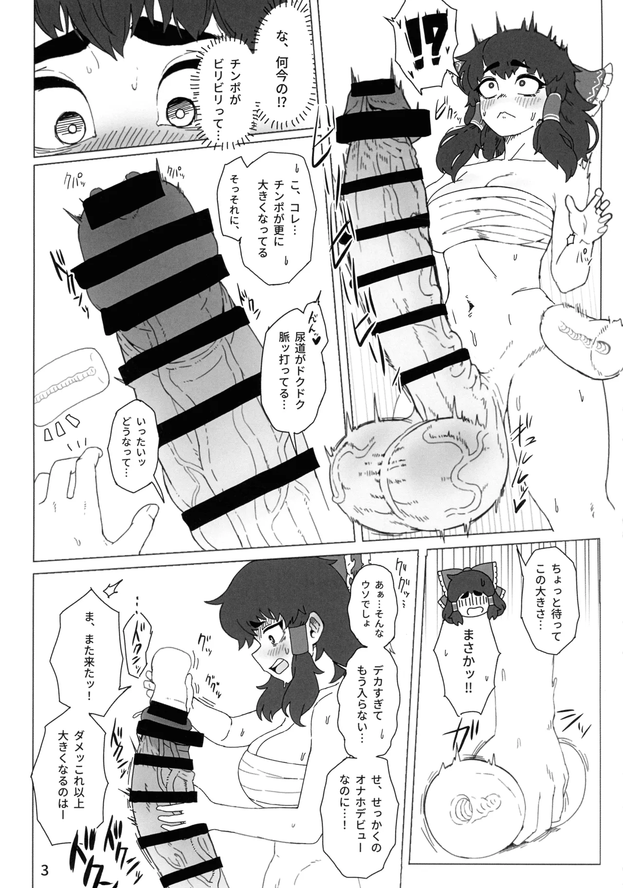 Touhou Futanari Jihen Miko to Yousei, Hajimete no Nyoudou Sex page 5 full