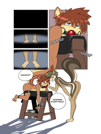 [DracoJeff] The Daily Routine cover