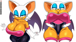 Rouge the Bat