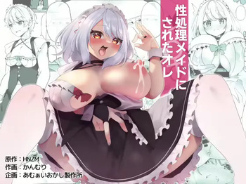 I Turned Into a Sexual Relief Maid [TF SCANS] cover