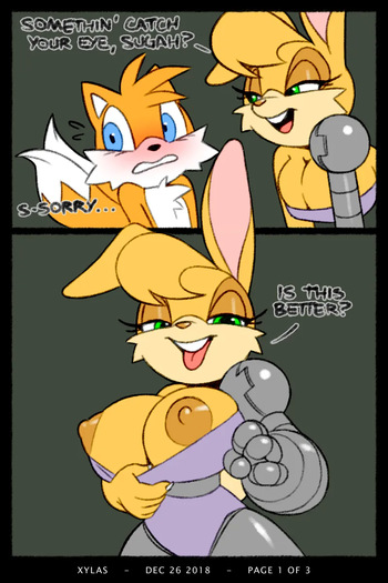 [Xylas] Tails x Bunnie cover
