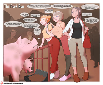 nimbletail The Pork Run cover