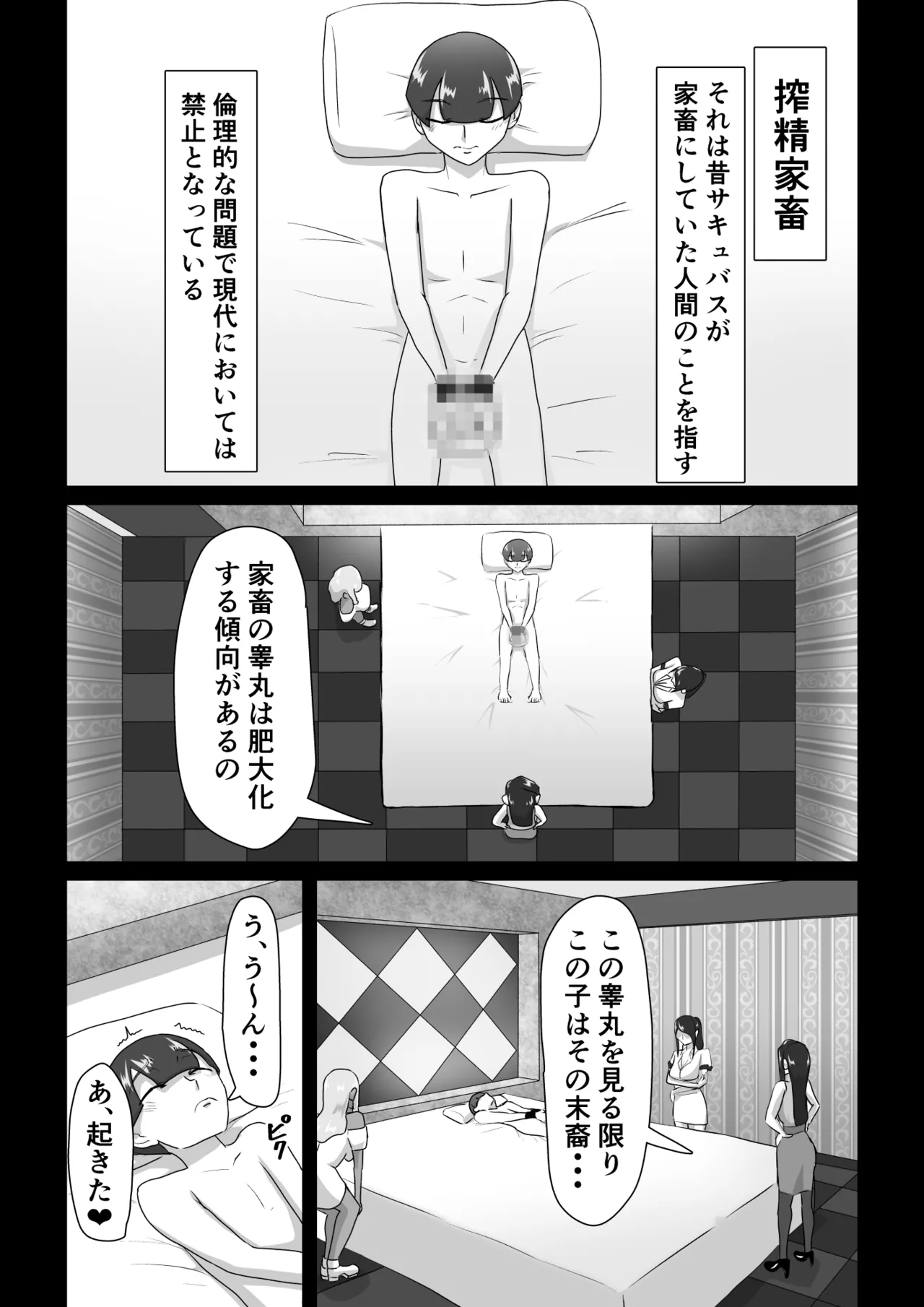 搾精契約〜サキュバス達の本気搾精三重奏〜 page 2 full