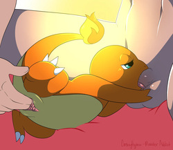 NSFW Pokedex: Charmander Line